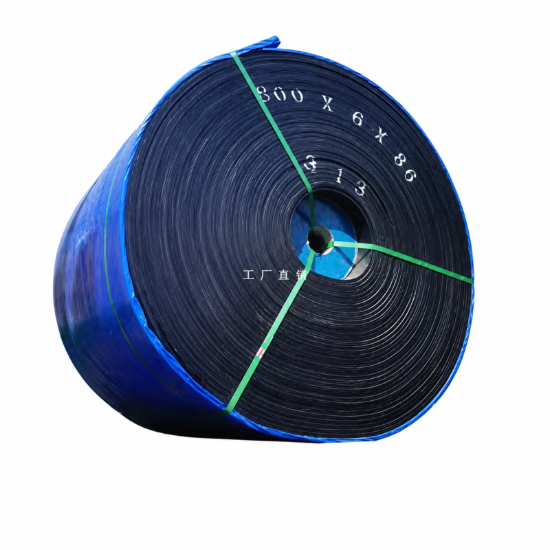 Conveyor belt